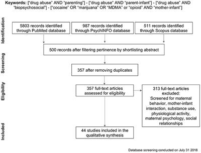 The Influences of Drug Abuse on Mother-Infant Interaction Through the Lens of the Biopsychosocial Model of Health and Illness: A Review